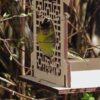 DIY Wooden Bird Feeder for the Outdoors